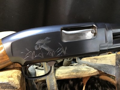 1950 Sampson Game Bird Engraved Winchester Model 12, .20 Bore, Straight Grip Stock, Trades Welcome - Image 13 of 22