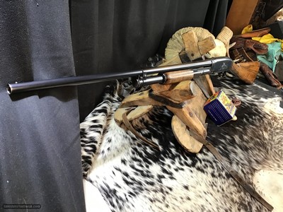 1950 Sampson Game Bird Engraved Winchester Model 12, .20 Bore, Straight Grip Stock, Trades Welcome - Image 16 of 22
