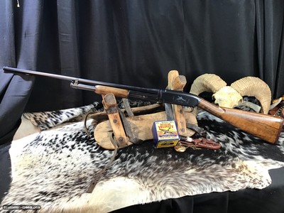1950 Sampson Game Bird Engraved Winchester Model 12, .20 Bore, Straight Grip Stock, Trades Welcome - Image 3 of 22