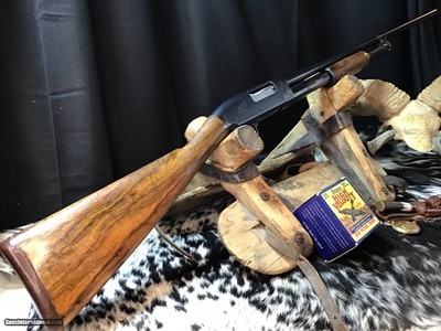 1950 Sampson Game Bird Engraved Winchester Model 12, .20 Bore, Straight Grip Stock, Trades Welcome - Image 10 of 22