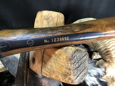1950 Sampson Game Bird Engraved Winchester Model 12, .20 Bore, Straight Grip Stock, Trades Welcome - Image 20 of 22