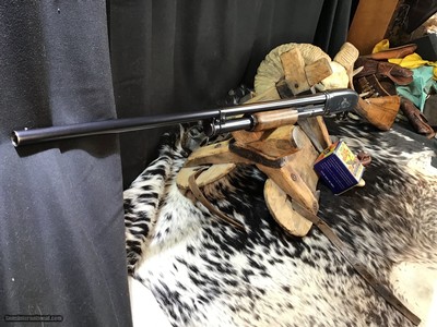 1950 Sampson Game Bird Engraved Winchester Model 12, .20 Bore, Straight Grip Stock, Trades Welcome - Image 22 of 22