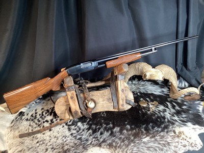 1938 Prewar Winchester “Standard Trap Model” Solid Rib, 30”, Mod Choke, Rare 16 Ga. Deluxe Wood. Trades Welcome. - Image 1 of 15