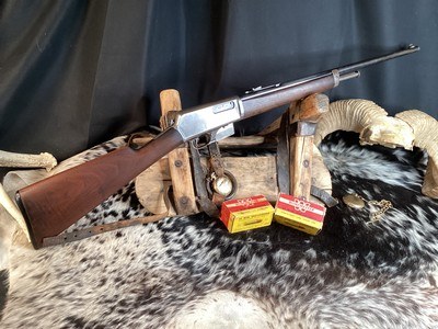 First Year 1905 Winchester Semi Auto in .35 WSL Cartridge, Original, Cased, Trades Welcome - Image 2 of 18