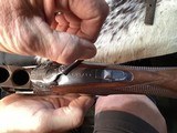 1973 Charles Daly Superior by Miroku, Skeet/Skeet O/U, Vent Rib, Selective Trigger, Engraved. Trades Welcome - Image 5 of 14