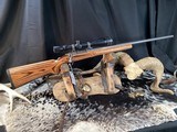 1994 Ruger M77 MKII All Weather Varmint,.223 Rem, Bull Barrel, Laminate Stock , Sightron Optic, As New, Trades Welcome - Image 1 of 13