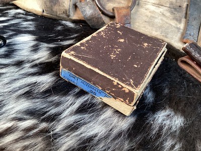 1915 Mfg. Colt Pocket Hammerless model 1908, Mother of Pearl Grips W/Box, .25 acp. Trades Welcome - Image 17 of 19
