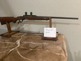 Ruger #1 25-06 - 1 of 12