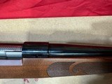 Nib Winchester m70 in 264 win mag with 24” barrel - 2 of 5