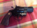 COLT 21/2" PYTHONS-NICKLE and,BLUE - 4 of 11