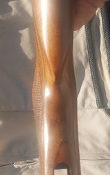 Blaser, F3 Sport,30" 12 Ga - 8 of 8