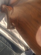 Blaser, F3 Sport,30" 12 Ga - 3 of 8