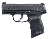 Sig Sauer P365 9mm - 1 of 1