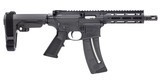 Smith & Wesson M&P15-22 22 LR AR-Pistol with SBA3 Pistol Brace - 1 of 1