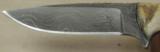 Nighthawk Custom / Keith Murr Model 300 Knife * Damascus & Dahl Sheep Horn - 3 of 6