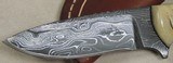 Nighthawk Custom Keith Murr Damascus & Ram Horn Model 325 Drop Point Knife & Leather Sheath NIB - 3 of 7