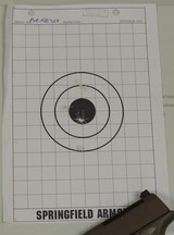 Springfield Armory 3