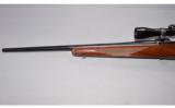 Ruger ~ M77 ~ 308 Win - 7 of 9