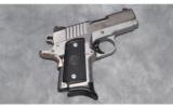 Para Ordanace ~ Warthog ~ 45 ACP - 1 of 2