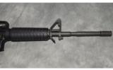 Smith & Wesson ~ M&P-15 ~ 5.56mm Nato - 4 of 9