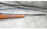 Browning ~ Hi Power Rifle ~ .22-250 Rem. - 4 of 9