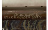 NEF~SINGLE SHOT RIFLE~45-70 - 4 of 7