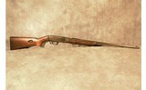 Remington~Model 241~22LR - 1 of 12