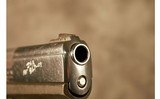 RUGER ~ P94 ~ 40 S&W - 6 of 6