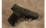 SIG SAUER ~ P365 ~ 9MM - 1 of 7