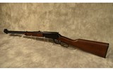 HENRY ~ RIMFIRE LEVER ACTION ~ .22 S, L, LR - 3 of 4