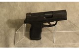 SIG SAUER ~ P365X ~ 9MM LUGER - 1 of 4