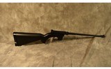 HENRY REPEATING ARMS ~ U.S. SURVIVAL ~ .22 LONG RIFLE - 1 of 2