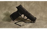 Sig Sauer~ P365 XL~ 9mm Luger - 1 of 3