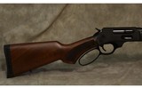 Henery Repeating Arms~ H010G~ .45-70 GOV - 3 of 7