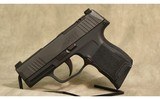 Sig Sauer~ P365~ 9x19 - 2 of 3