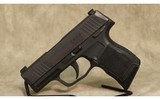 Sig Sauer~ P365~ 9x19 - 2 of 3