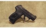Ruger~LCP MAX~.380 Auto - 1 of 3