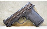 Smith & Wesson~M&P 9 Shield EZ M2.0~9mm Luger - 5 of 5