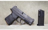 SIG SAUER~P365~9mm Luger