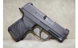 SIG SAUER~P365~9mm Luger - 2 of 5