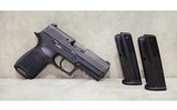 SIG SAUER~P320~.45 Auto