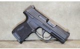 Sig Sauer~P365~.380 Auto