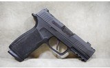 SIG SAUER~P365X~9mm Luger - 1 of 4