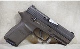 SIG SAUER~P250~9mm Luger - 2 of 5