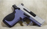 Smith & Wesson~CSX~9mm Luger