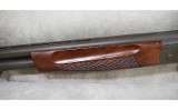CZ~Upland Ultra Lite~12 gauge - 11 of 15