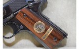 Colt~World War I Commemorative Battle of Belleau Wood~.45 Auto - 10 of 11