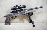 Ruger~22 Charger~.22 Long Rifle