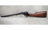 Heritage~Rough Rider~.22 cal - 6 of 10