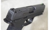 SIG SAUER~P365X~9mm Luger - 5 of 7